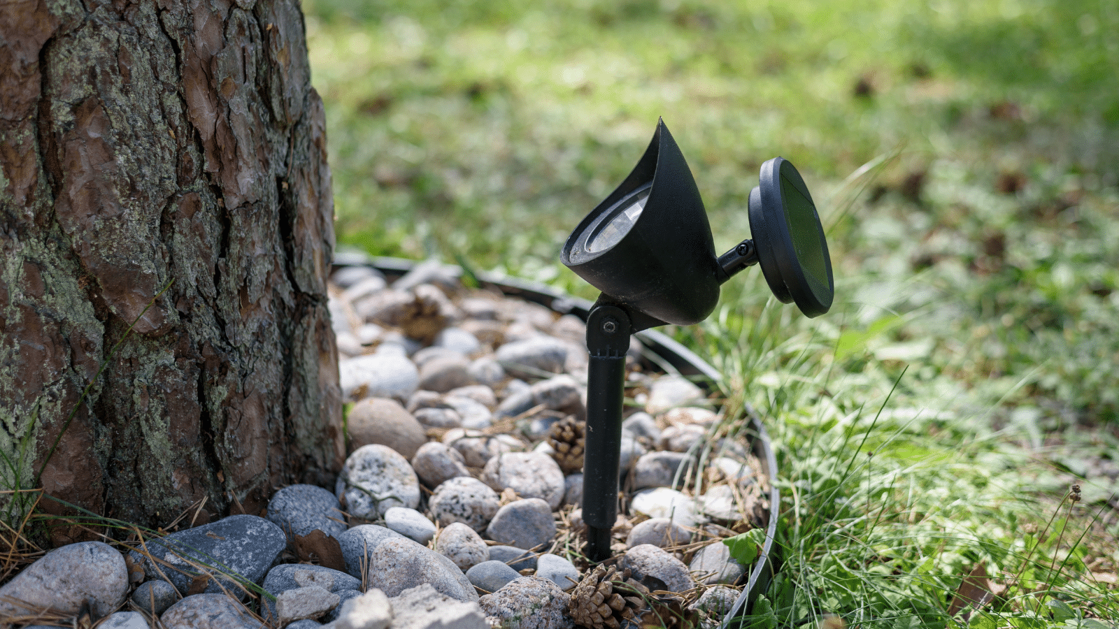 tree with rock bed showing the advantages of low voltage lighting